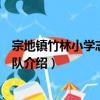 宗地鎮竹林小學志愿服務隊（關于宗地鎮竹林小學志愿服務隊介紹）