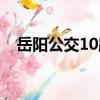 岳陽公交10路（關于岳陽公交10路簡介）