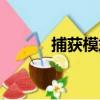 捕獲模式（關于捕獲模式簡介）