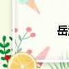 岳洪（關于岳洪簡介）