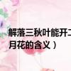 解落三秋葉能開二月花寫的是什么意思（解落三秋葉能開二月花的含義）