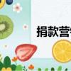 捐款營銷（關于捐款營銷簡介）