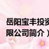岳陽寶豐投資有限公司（關于岳陽寶豐投資有限公司簡介）