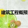 建筑工程概預算（關于建筑工程概預算介紹）