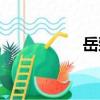 岳臻（關于岳臻簡介）