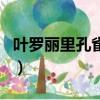 葉羅麗里孔雀是什么身份（是怎么推斷出來的）