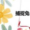 捕捉兔子（關于捕捉兔子簡介）