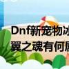 Dnf新寵物冰翼之魂什么屬性（Dnf新寵物冰翼之魂有何屬性）