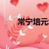 常寧培元塔（關于常寧培元塔簡介）