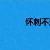 懷刺不適（關于懷刺不適介紹）