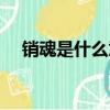 銷魂是什么意思（詞語銷魂是什么意思）