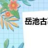 岳池古墓（關于岳池古墓簡介）