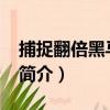 捕捉翻倍黑馬15招（關于捕捉翻倍黑馬15招簡介）
