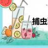 捕蟲囊（關于捕蟲囊簡介）