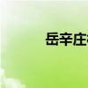 岳辛莊村（關于岳辛莊村簡介）