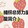 捕撈總努力量漁獲量（關于捕撈總努力量漁獲量簡介）