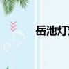 岳池燈戲（關于岳池燈戲簡介）