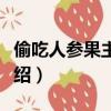 偷吃人參果主要內容（偷吃人參果主要內容介紹）