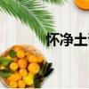 懷凈土詩（關于懷凈土詩介紹）