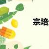宗培生（關于宗培生介紹）