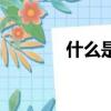 什么是膠版紙（何謂膠版紙）