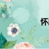 懷刷（關于懷刷介紹）
