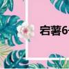 宕薯6號（關于宕薯6號介紹）