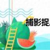捕影捉風（關于捕影捉風簡介）
