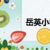 岳英小學（關于岳英小學簡介）