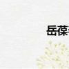 岳葆春（關于岳葆春簡介）