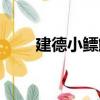 建德小鰾鮈（關于建德小鰾鮈介紹）