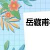 岳藏甫村（關于岳藏甫村簡介）