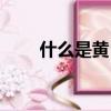 什么是黃昏戀（黃昏戀是什么意思）