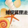 捕捉狐貍法則（關于捕捉狐貍法則簡介）