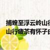 捕蝗至浮云嶺山行疲苶有懷子由弟二首（關于捕蝗至浮云嶺山行疲苶有懷子由弟二首簡介）