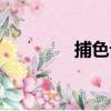 捕色記（關于捕色記簡介）