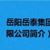 岳陽岳泰集團有限公司（關于岳陽岳泰集團有限公司簡介）