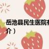 岳池縣民生醫院有限公司（關于岳池縣民生醫院有限公司簡介）