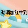 勁酒加紅牛到底好不好（勁酒能不能加紅牛）
