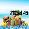 捕捉小行星（關于捕捉小行星簡介）