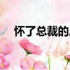 懷了總裁的崽（關于懷了總裁的崽介紹）