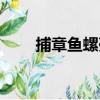 捕章魚螺殼（關于捕章魚螺殼簡介）