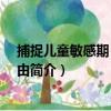 捕捉兒童敏感期+愛和自由（關于捕捉兒童敏感期+愛和自由簡介）
