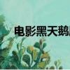 電影黑天鵝劇情（電影黑天鵝劇情介紹）