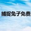 捕捉兔子免費版（關于捕捉兔子免費版簡介）