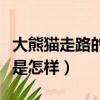 大熊貓走路的方式是什么（大熊貓走路的方式是怎樣）
