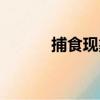 捕食現象（關于捕食現象簡介）