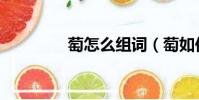 萄怎么組詞(萄如何組詞)