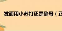 發面用小蘇打還是酵母(正確用法在這里)