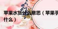 蘋果水貨什么意思(蘋果手機水貨和行貨是指什么)